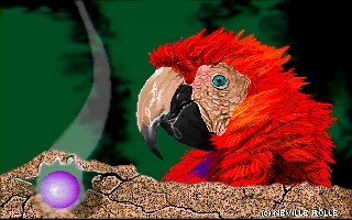 A-Macaw.jpg