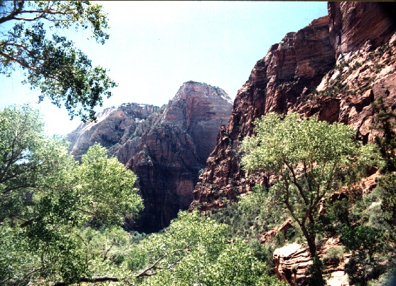 zion7